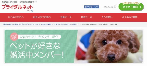 ネット婚活でペット好きの異性を探すならどこ？画像