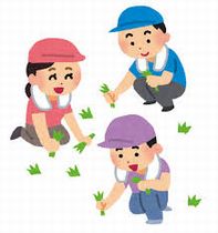 ボランティア婚活