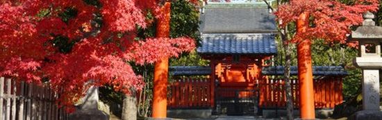 寺コンのデメリット