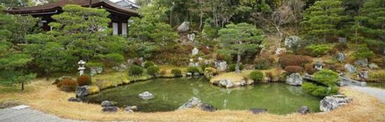 寺コンに参加する人の年齢層