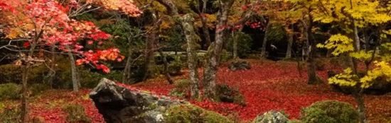 寺コンを行っている地域