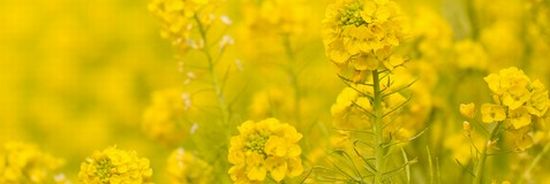風水やスピリチュアルにハマりすぎると結婚できない画像
